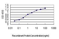 BCAR3 Antibody (clone 3G4)