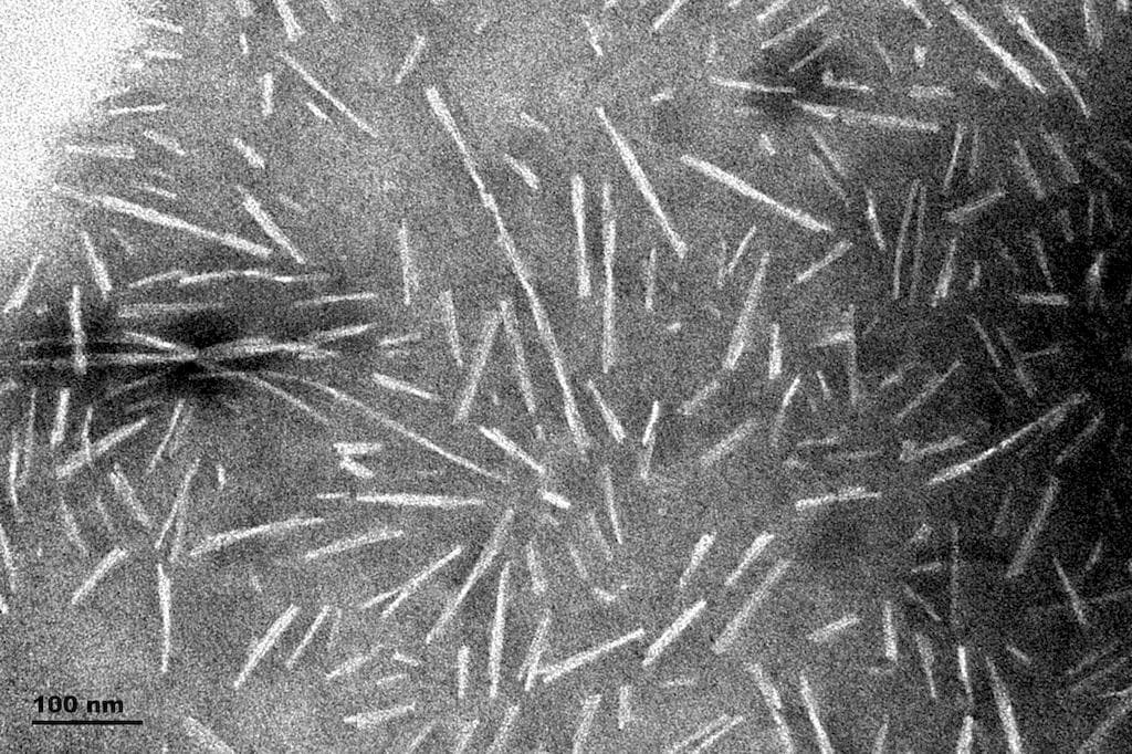 Human SNCA / Alpha-Synuclein Protein (Recombinant)