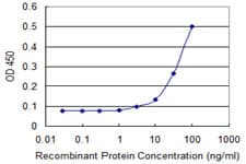 IHC-plus™ Monoclonal Mouse anti-Human ACOT9 Antibody (clone 4E4, IHC, IF, WB)