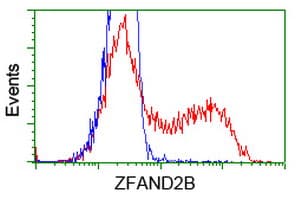 ZFAND2B Antibody (clone OTI2E11, Carrier-free)
