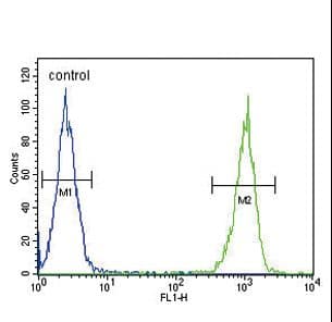 IHC-plus™ Polyclonal Rabbit anti-Human LF / LTF / Lactoferrin Antibody (IHC, WB)
