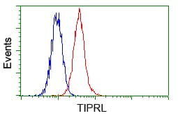 TIPRL / TIP Antibody (clone OTI3D11)