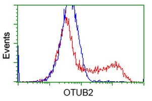 OTUB2 Antibody (clone OTI6F7)