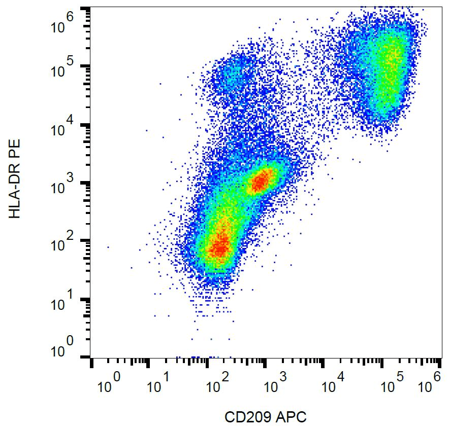 Monoclonal Mouse anti-Human CD209 / DC-SIGN Antibody (clone UW60.1, APC, IHC)