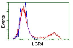GPR48 / LGR4 Antibody (aa230-540, clone OTI2D1, Carrier-free)