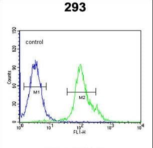 NXPH1 Antibody (aa56-85)