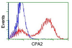 CPA2 Antibody (clone OTI1C7)