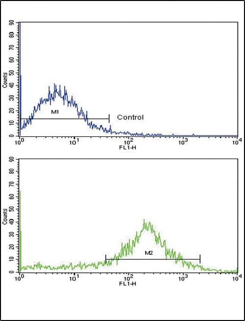 IL-1B / IL-1 Beta Antibody (aa148-174)