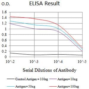TRIM29 Antibody (clone 8C8G5)