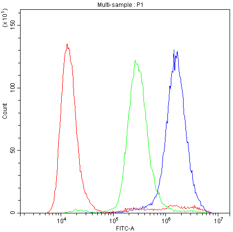 PLIN1 / Perilipin Antibody