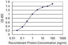 IHC-plus™ IL1F9 Antibody (clone 2A8)