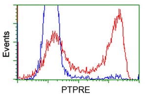 PTPRE / PTP Epsilon Antibody (clone OTI3E1)