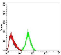 GRM3 / MGLUR3 Antibody (clone 7A5A6)