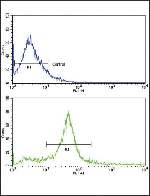 ERBB3 / HER3 Antibody (aa24-55)