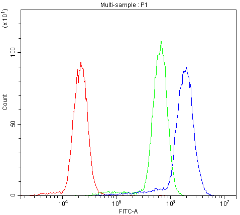 ABI1 / SSH3BP1 Antibody (aa151-175)