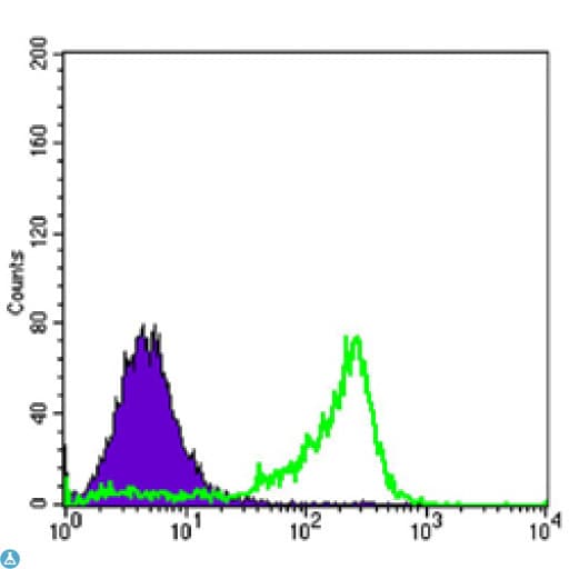 PAX6 Antibody