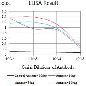 SLAMF6 / NTBA Antibody (clone 2F1C9)