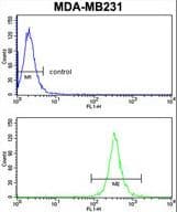 ARHGAP18 Antibody (aa180-207)