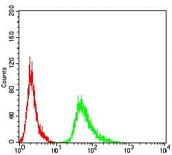 AMY1A / Salivary Amylase Antibody (clone 1G4D8)