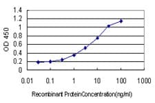 HOXA7 Antibody (clone 2F2)
