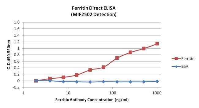 Ferritin Antibody (clone 521)