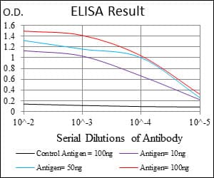 Monoclonal Mouse anti-Human IL-1B / IL-1 Beta Antibody (clone 3A6, IHC, IF, WB)