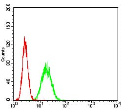 APEX1 / APE1 Antibody (clone 7A2G7)