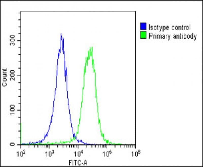 p58 / PSMD3 Antibody (C-Terminus)