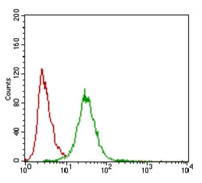 ZEB1 / AREB6 Antibody (aa800-1124, clone 2A8A6)