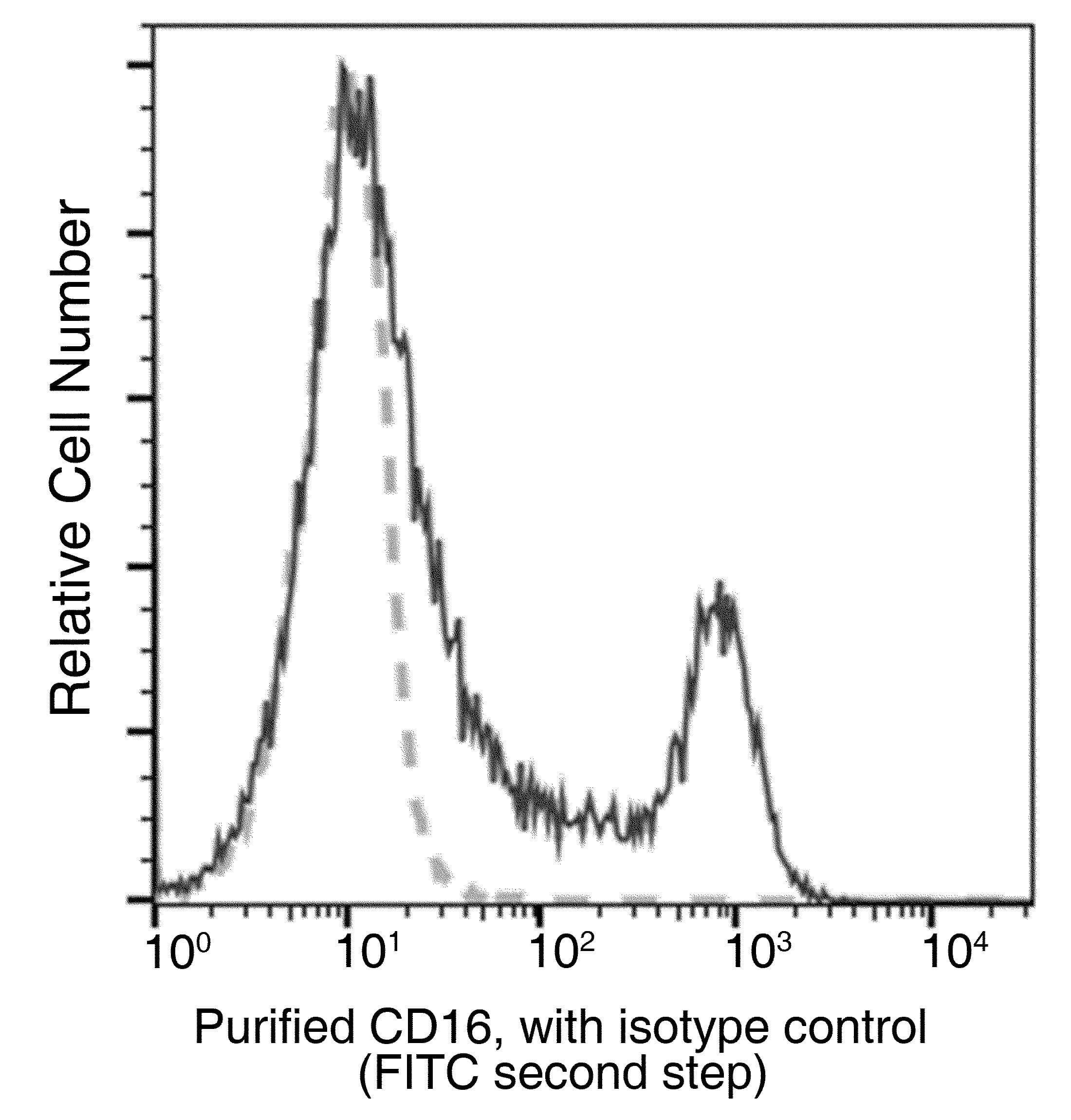 FCGR3A / CD16A Antibody (clone 41, Preservative Free)