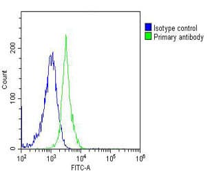 Monoclonal Mouse anti-Human CASP8 / Caspase 8 Antibody (clone 550CT8.5.2, C-Terminus, WB)