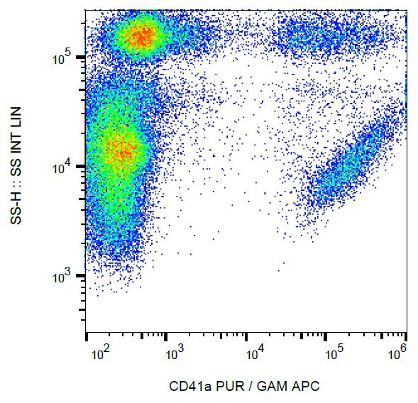 Monoclonal Mouse anti-Human ITGA2B / CD41 Antibody (clone HIP8, IHC)