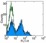 DPP4 / CD26 Antibody (clone 2A6, FITC)