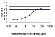 Monoclonal Mouse anti-Human TCEB3 / Elongin A Antibody (clone 3E2, WB)