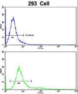 RAB13 Antibody (aa109-137)