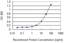 IFNA1 / Interferon Alpha 1 Antibody (clone 3C6)