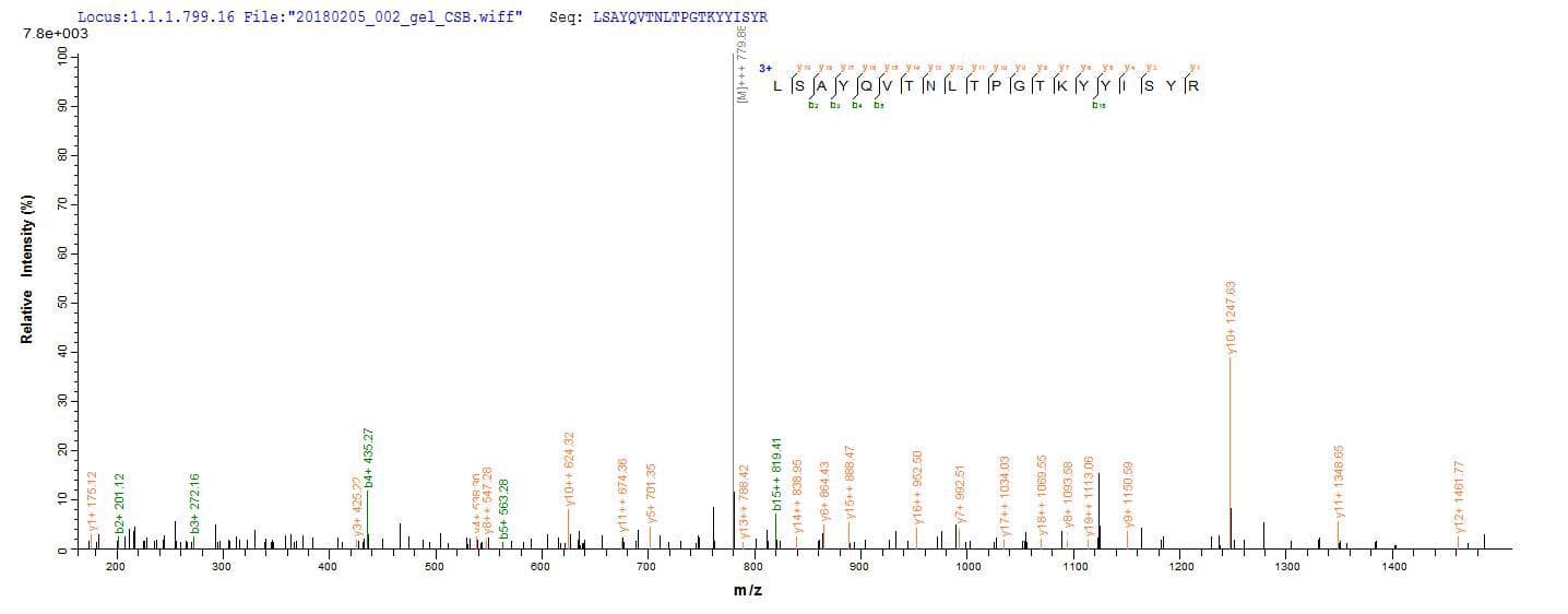 Mouse UPK2 / UPII / Uroplakin 2 Protein (Recombinant GST-6His, N-terminus)