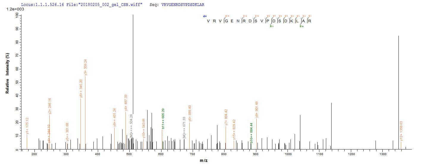 Arabidopsis thaliana UGT89C1 Protein (Recombinant 10His, N-terminus)