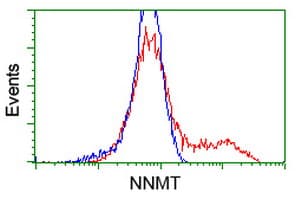 NNMT Antibody (clone OTI1A1)