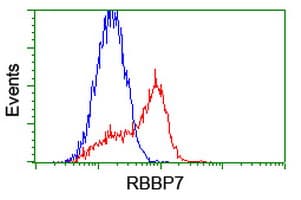 RBBP7 / RbAp46 Antibody (clone OTI4C9)