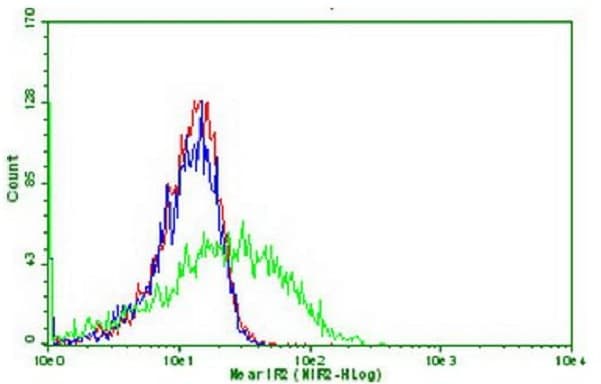 PDCD1 / CD279 / PD-1 Antibody (clone OTI13A3)