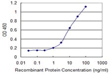 Monoclonal Mouse anti-Human TBCC Antibody (clone 3D3, IF, WB)