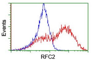 RFC2 / RFC40 Antibody (aa1-234, clone OTI3A7, Carrier-free)