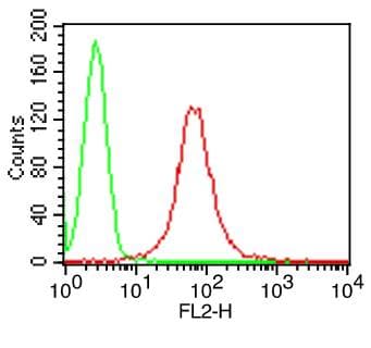 CD1A Antibody (clone CBT6)