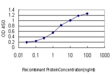 TPR Antibody (clone 1A8)