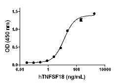Human TNFSF18 / GITRL Protein (Recombinant)