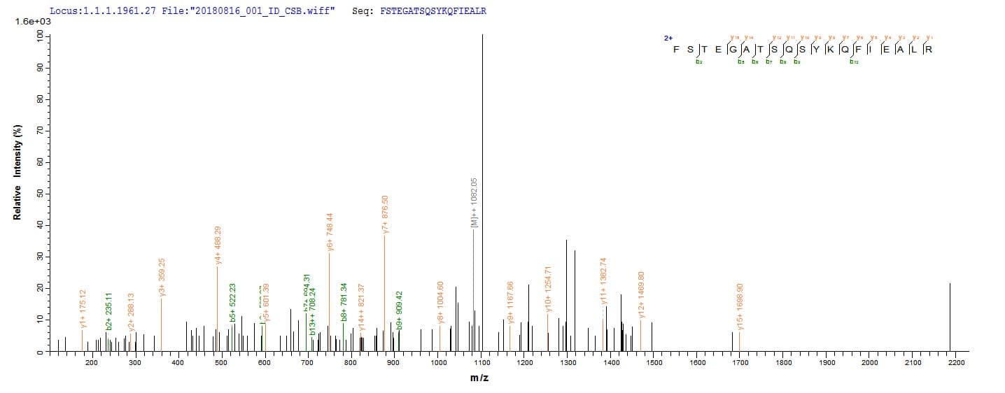 Abrin-a-like (Abrus precatorius) Protein (Recombinant 10His, N-terminus)