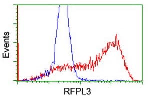 RFPL3 Antibody (clone OTI2G4)