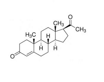Progesterone Antibody (clone 6-5E-10B)