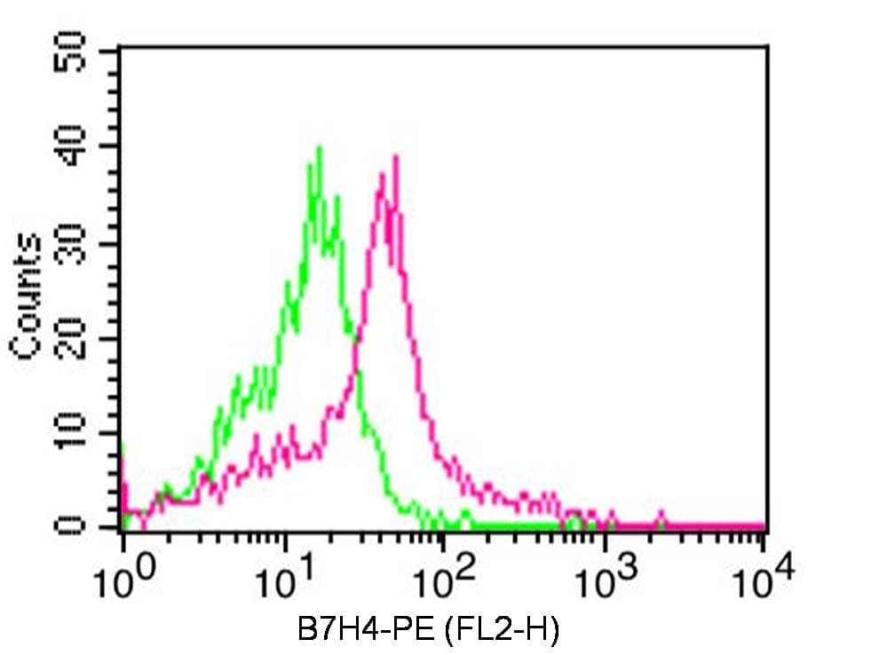VTCN1 / B7-H4 Antibody